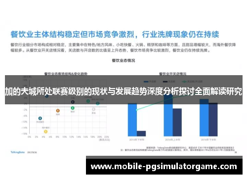 加的夫城所处联赛级别的现状与发展趋势深度分析探讨全面解读研究