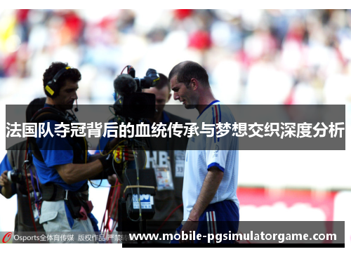 法国队夺冠背后的血统传承与梦想交织深度分析