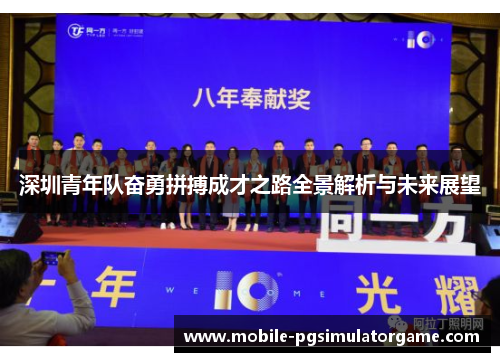 深圳青年队奋勇拼搏成才之路全景解析与未来展望