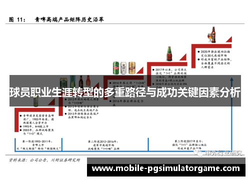 球员职业生涯转型的多重路径与成功关键因素分析
