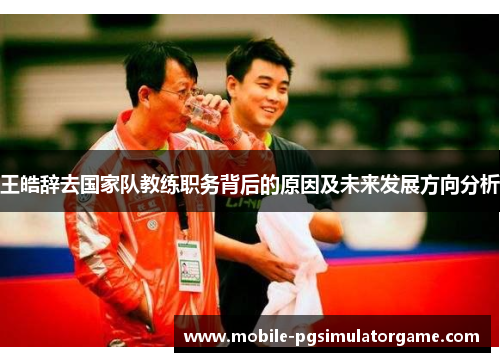 王皓辞去国家队教练职务背后的原因及未来发展方向分析